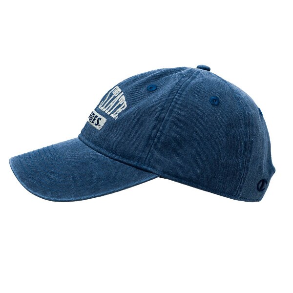Utah State, Aggies, Cap, Hat, Champion, Navy